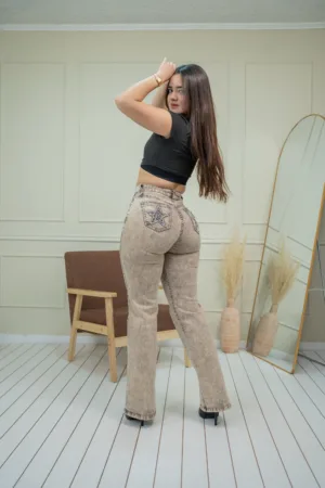 Flare Jeans Stars